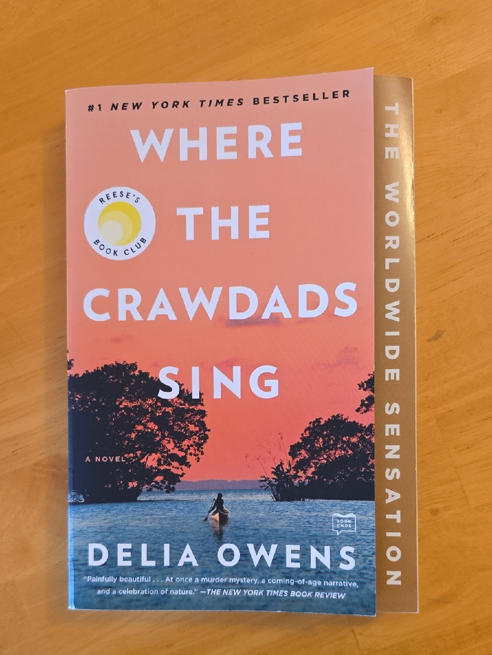 Where the Crawdads Sing by Delia Owens